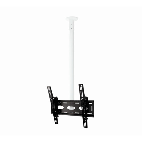 B-Tech Universal Flat Screen Ceiling Mount with Tilt (VESA 600 x 400) - 1.5m Ã˜50mm Pole