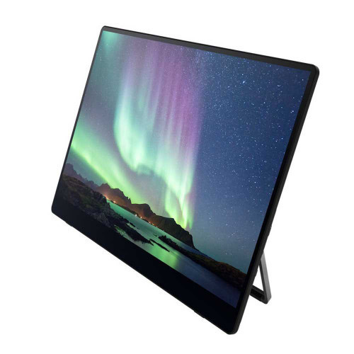 Ricoh Portable Monitor 150BW